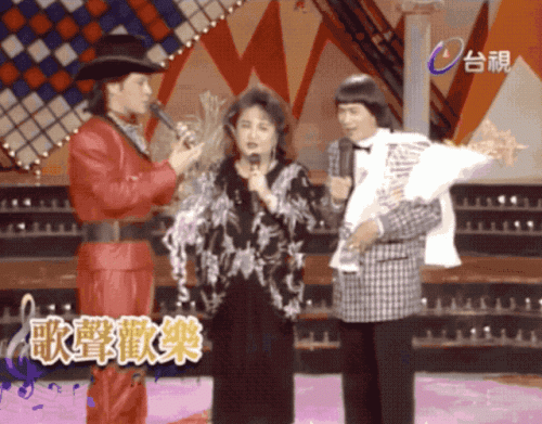 刘文正费翔(刘文正经典老歌)插图6
