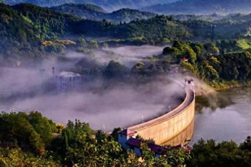 信阳景点排名前十(信阳十大茶园排名)插图4