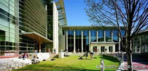 新西兰五星级大学排名前十(新西兰知名大学排行榜)插图3