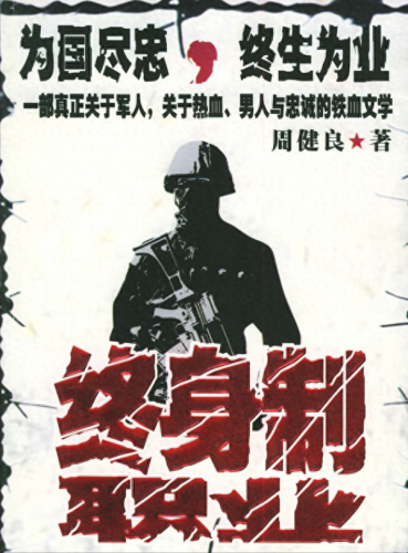 排名前十的军旅小说(军旅强兵小说)插图2
