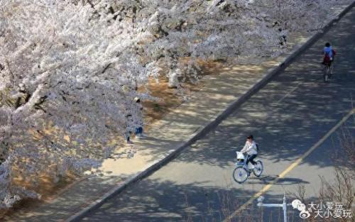 最有味道的大学排名前十(心理学排名前十的大学)插图33