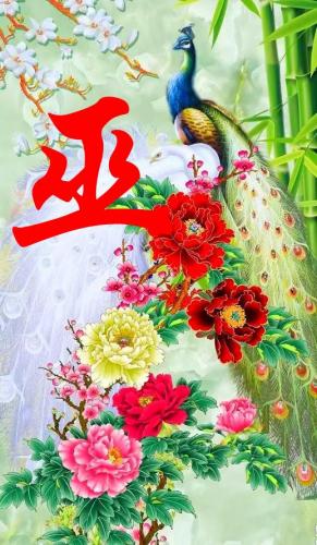 百家姓qq头像(百家姓头像大全真实图)插图49