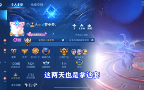 王者荣耀梦奇(梦奇张大仙教学)