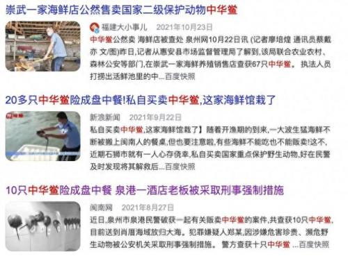 血奴事件(血奴案调查结果)插图20