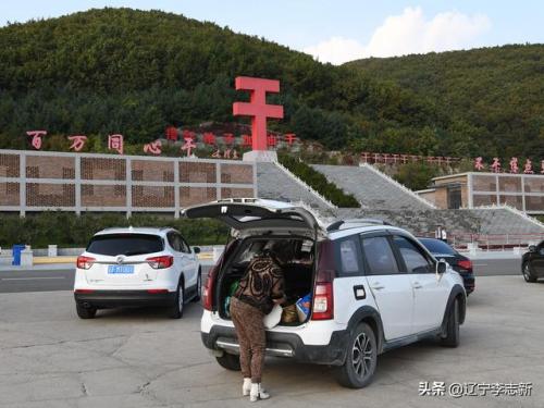 披星戴月是什么生肖-(披星戴月打一个数字)插图21