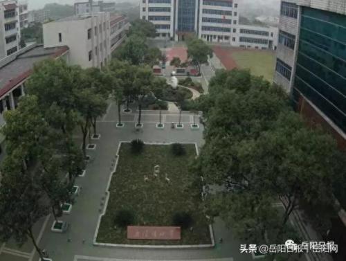 岳阳排名前十初中(岳阳最好的初中在哪里)插图2