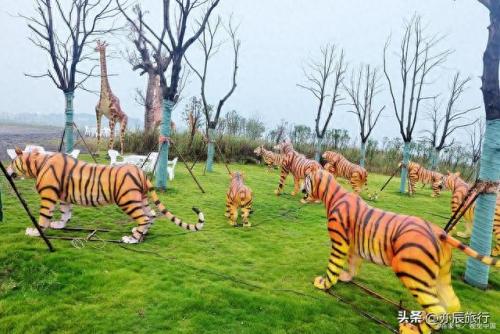 贵阳景区排名前十(贵阳最好玩的景区)插图11