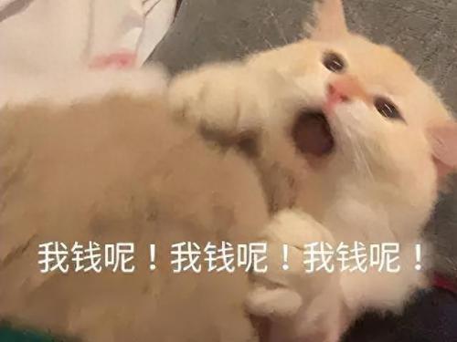 御龙在天马怎么升级快(御龙在天怎么给马吃升级丹)插图