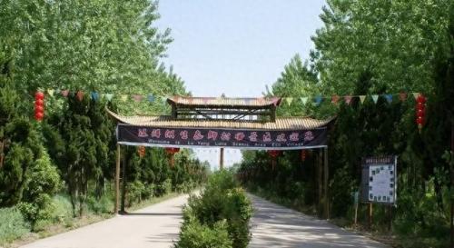 江都推荐景点排名前十(江都旅游十大景区)插图1