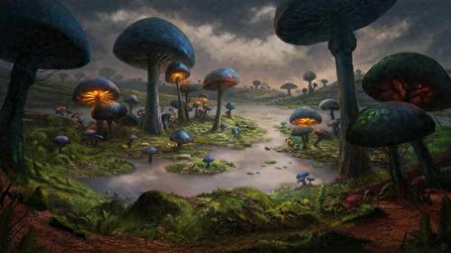 植物进化排名前十(公认十强植物)插图10
