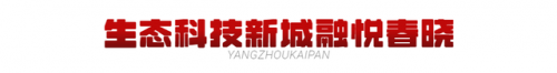 扬州乡村豪宅排名前十(亚洲十大豪宅扬州)插图1