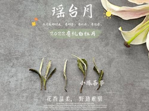 白茶品类排名前十(白茶品牌排名前十名)插图14