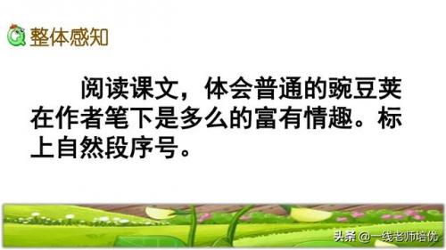 豌怎么组词-(豌可以怎么组词语)插图10