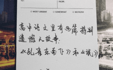 上海市南汇区文院街(上海南汇区文院街图片)