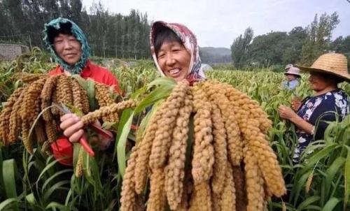 千载难逢的载是什么意思(三年五载的载是什么意思)插图6