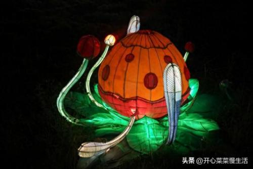 揭阳药厂排名前十(广东制药厂的排名)插图16