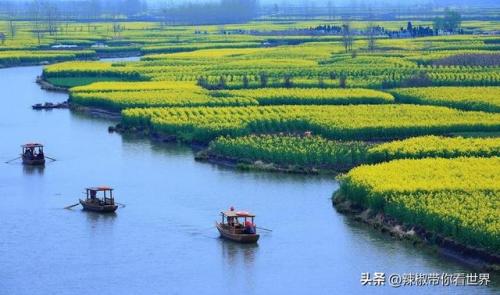 泰州古迹景点排名前十(泰州人文景点排名前十)插图17