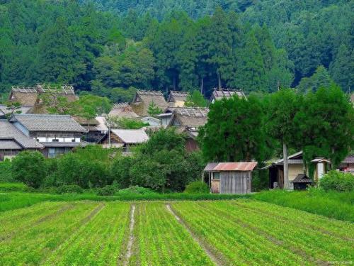 沈阳3.8大案纪实(沈阳3.8大案纪实小说)插图3