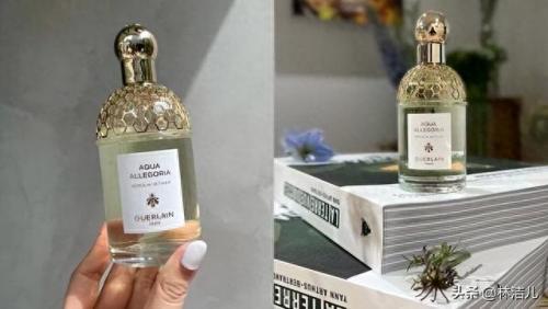 皮革香水排名前十(皮革味香水小说)插图5