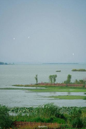 杏林榻榻米排名前十(和室榻榻米十大排名)插图16