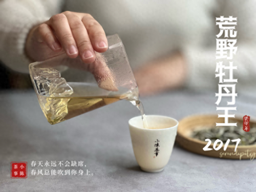 白茶品类排名前十(白茶品牌排名前十名)插图1