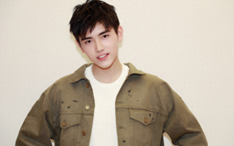 中国排名前十帅男(中国最帅的男人前10名)