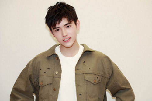 中国排名前十帅男(中国最帅的男人前10名)插图