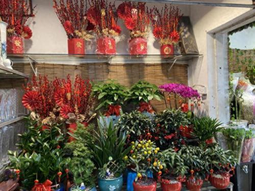 罗湖花店排名前十(罗湖天花店)插图1