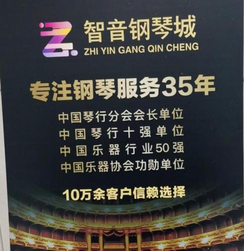 成都钢琴名校排名前十(钢琴学校十大排名)插图