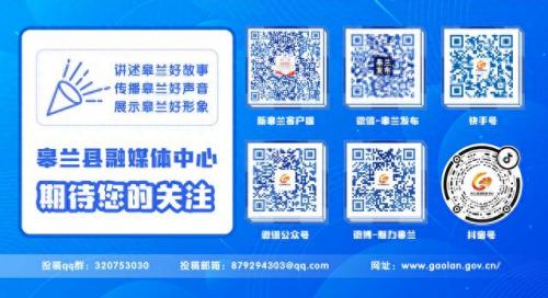 皋兰县企业排名前十(安宁10强企业)插图2