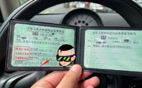 考驾驶证排名前十的图片(单眼驾驶证图片)