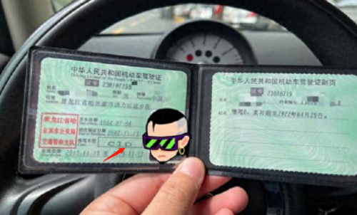 考驾驶证排名前十的图片(单眼驾驶证图片)插图