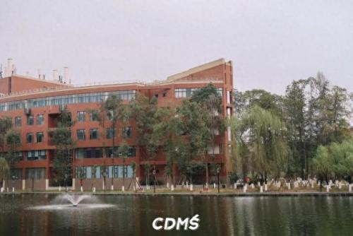 成都十陵镇小吃排名前十(成都十大排名小吃)插图78