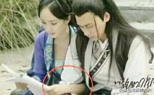 杨野花(农村各种野草)插图25