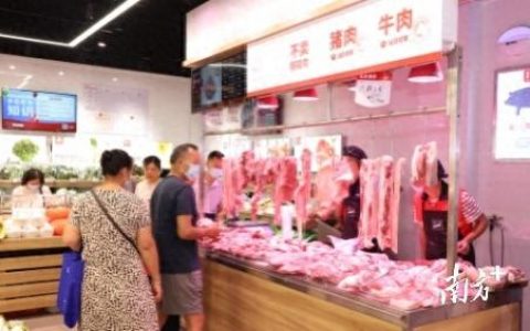 广东省粮食企业排名前十(全国粮食龙头企业)