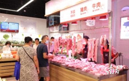 广东省粮食企业排名前十(全国粮食龙头企业)插图