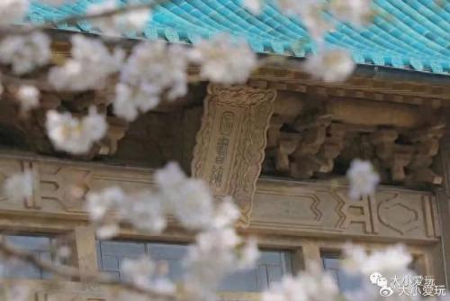 最有味道的大学排名前十(心理学排名前十的大学)插图3