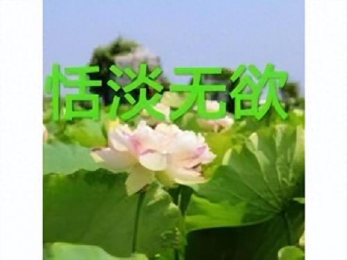 无头骑士的坐骑(正式服刷无头坐骑)插图8