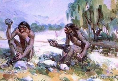 瑞士路易十六喷剂(拉法耶特和路易十六的关系)插图2