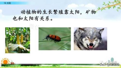 信服的近义词是什么(信服的意思)插图50