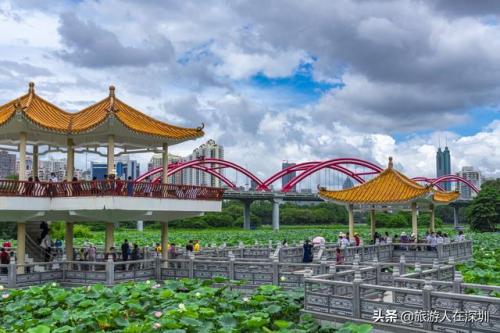 洪湖公园好玩吗(洪湖一日游攻略)插图14