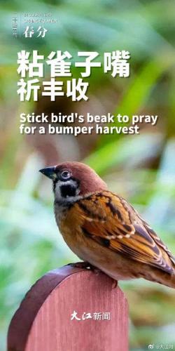 春分是二十四节气的第几个(二十四节气春分简介)插图4