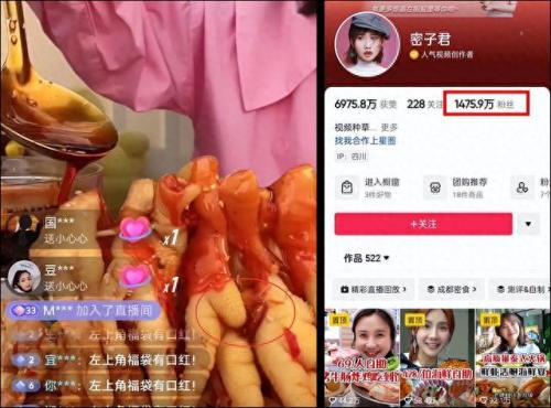 快手宠物狗主播排名前十(快手宠物主播排行)插图9