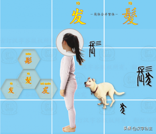 望其项背的近义词(望其项背什么意思)插图16