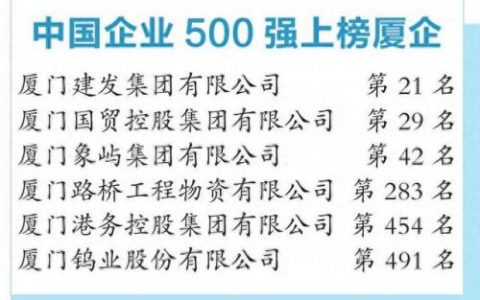 厦门排名前十企业(厦门企业100强)