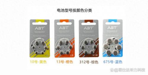 助听器电瓶排名前十(电瓶十大品牌排名大全)插图1