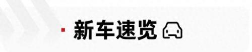 吉利熊猫车标(吉利熊猫酷趣版)插图2