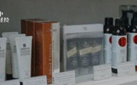 全国排名前十的微商品牌是(缇娅菲洛是微商品牌吗)