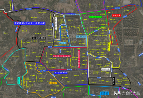 杏林小学排名前十(杏林最好小学排名)插图3