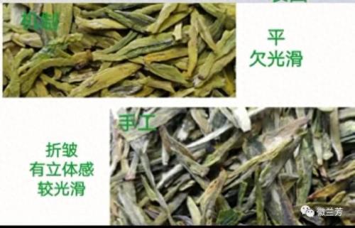 龙井品种排名前十(龙井哪个品种最好)插图3